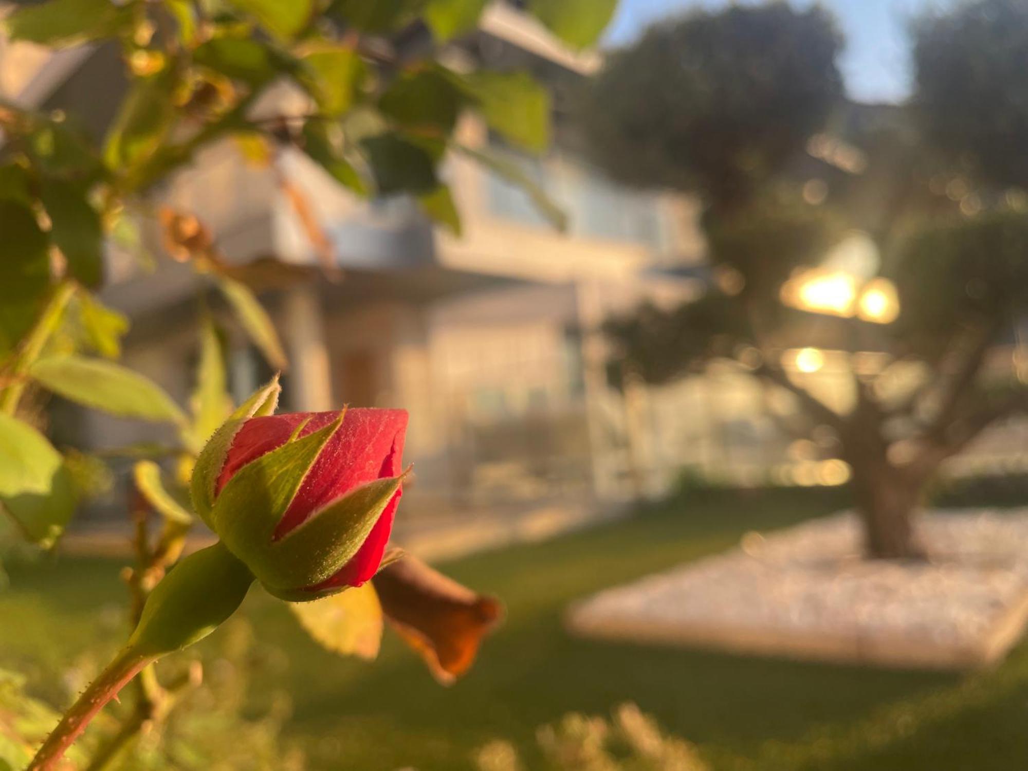 Altos De Finestrat Villa ภายนอก รูปภาพ