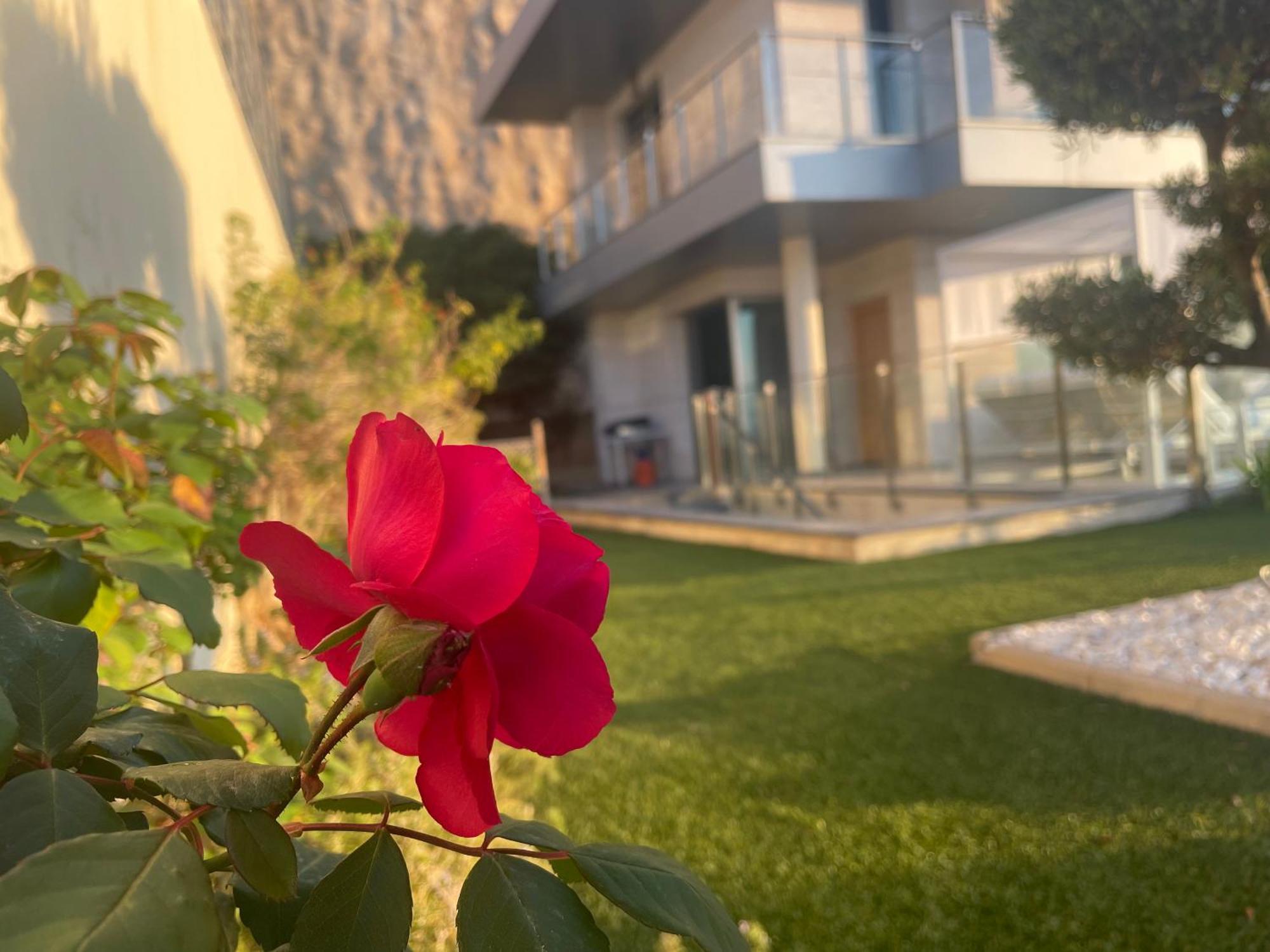 Altos De Finestrat Villa ภายนอก รูปภาพ